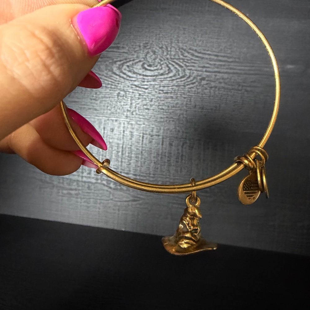 Alex and Ani Gold Sorting Hat Charm Bracelet